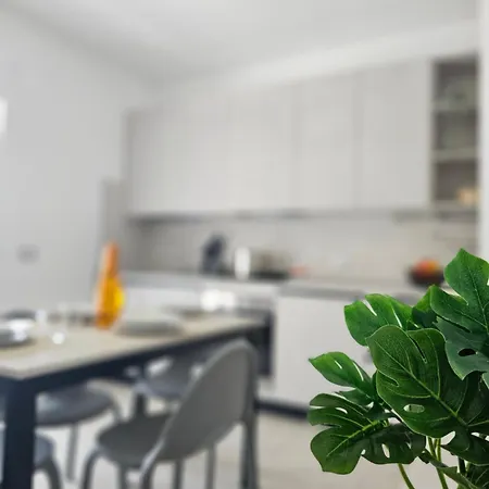 Apartment Greyhouse 2 100m Dal Mare *